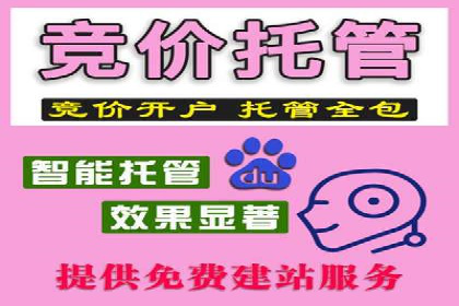 百度推广运营实战技巧：案例教学与实战演练